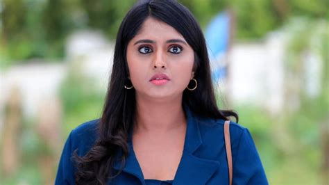 Watch Bhagyalakshmi Season 1 Episode 316 : Shreshta Is In The .